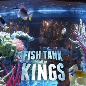 FISH TANK KINGS .